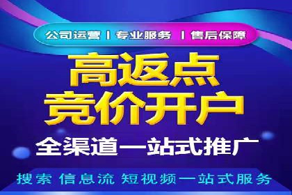 探索sem代运营公司成功案例的共同点